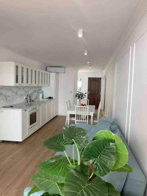 Flaming Apartment 4F Torrevieja Kültér fotó